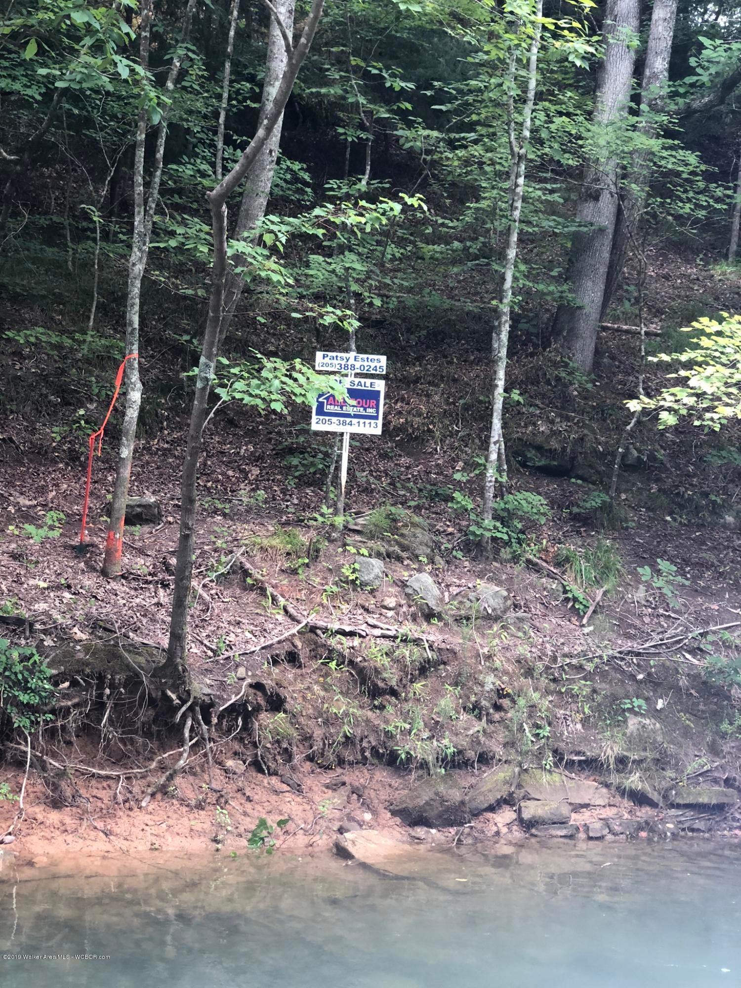 Lot 100 Sipsey Overlook Road Houston, AL 35572 - Photo 13 of 16 Gallery Image 13