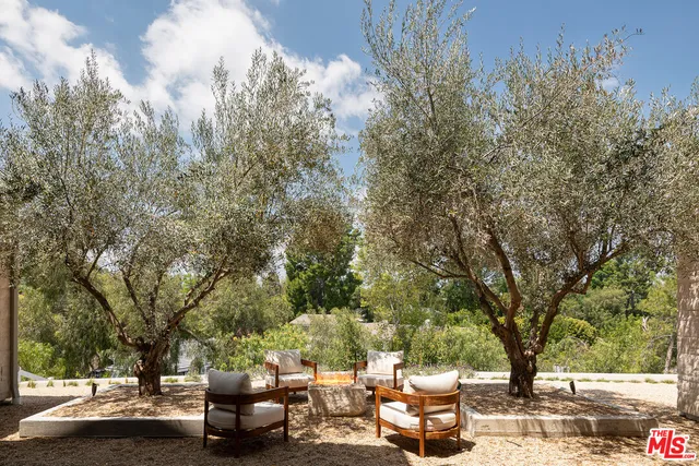 a view of a city street with lots of trees
