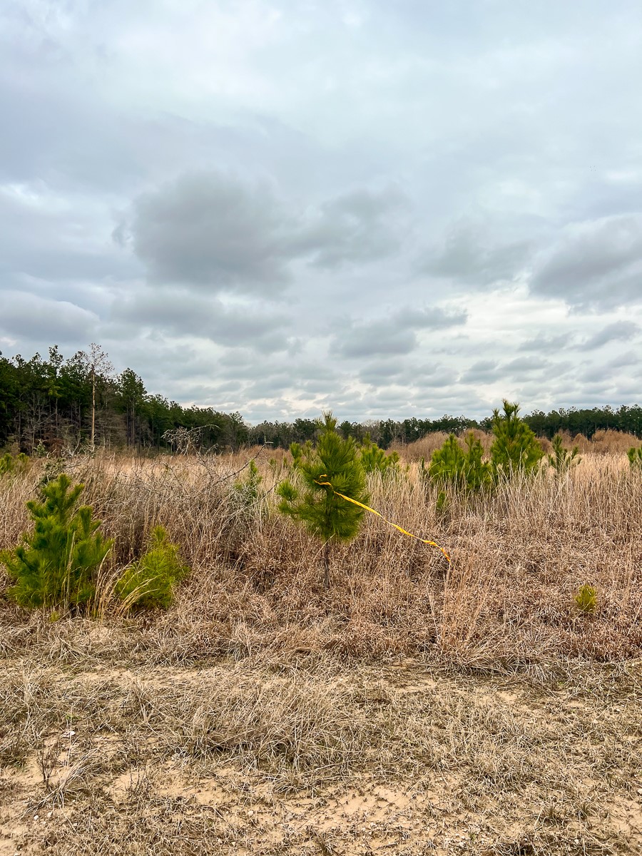 1 B Hardin Hideout Road Moscow, TX 75960 - Photo 12 of 14
