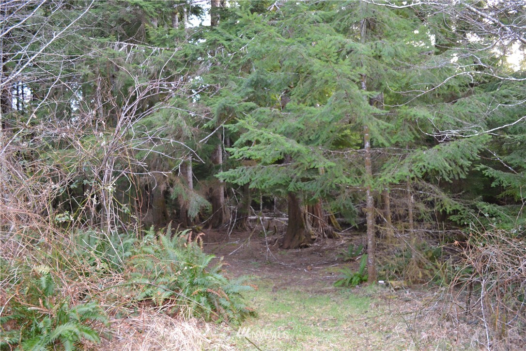 6113 Quillayute Road Forks, WA 98331 - Photo 2 of 5 Gallery Image 2
