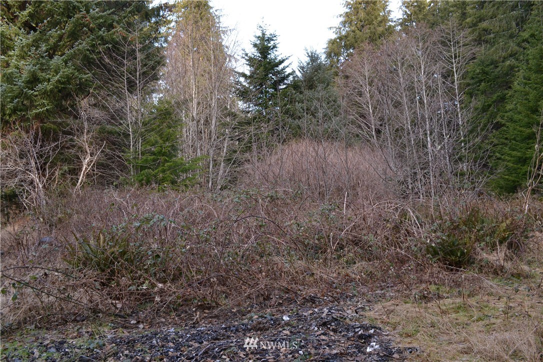 6113 Quillayute Road Forks, WA 98331 - Photo 3 of 5 Gallery Image 3