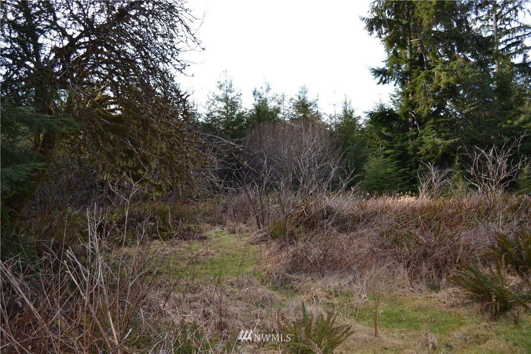 6113 Quillayute Road Forks, WA 98331 - Photo 4 of 5 Gallery Image 4