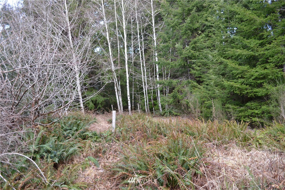 6113 Quillayute Road Forks, WA 98331 - Photo 5 of 5 Gallery Image 5