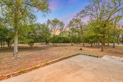a view of a park with tree s