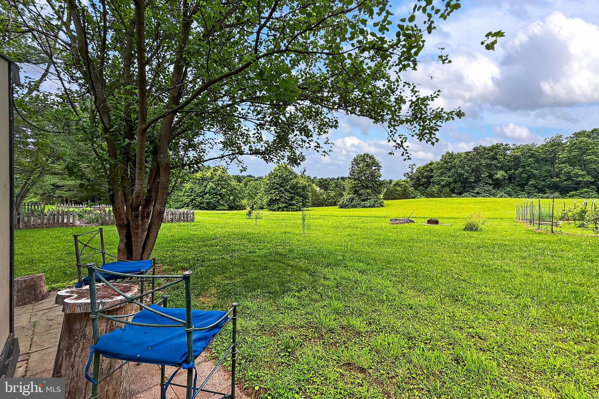 43910 Spinks Ferry Road Leesburg, VA 20176 - Photo 57 of 77