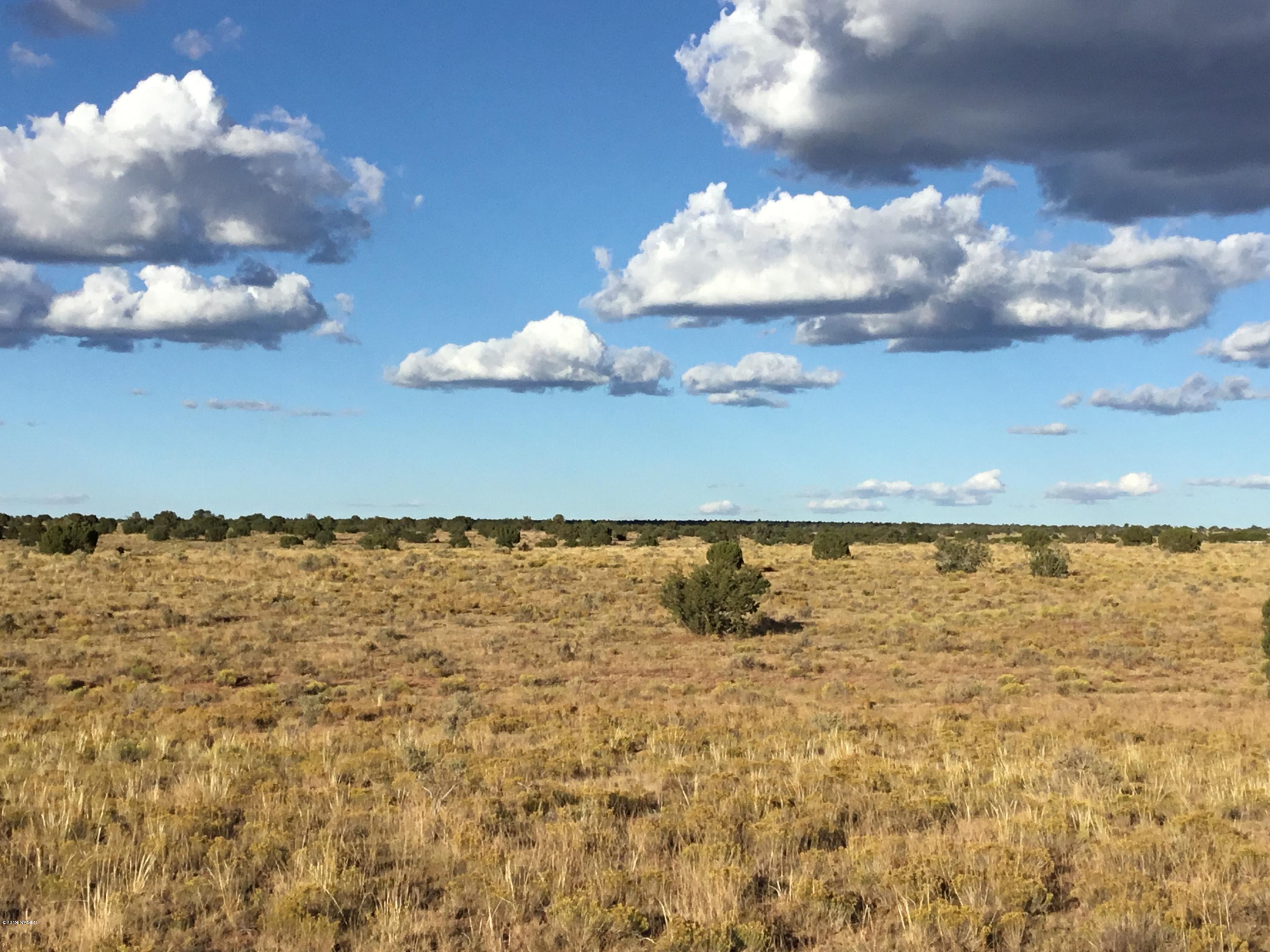 1181 East S Rim Ranch Road Williams, AZ 86046 - Photo 4 of 6 IMG-0893