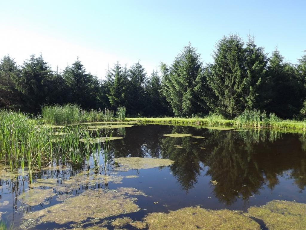 864 Ballyhack Road Port Crane, NY 13833 - Photo 19 of 22 Gallery Image 19