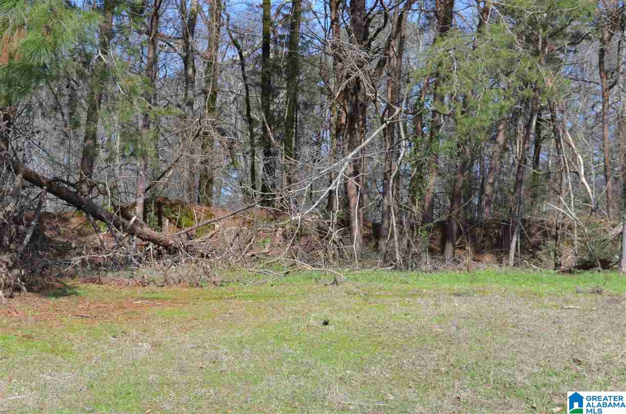 816 Twin Ridge Drive, Unit 59 Gardendale, AL 35071 - Photo 2 of 2