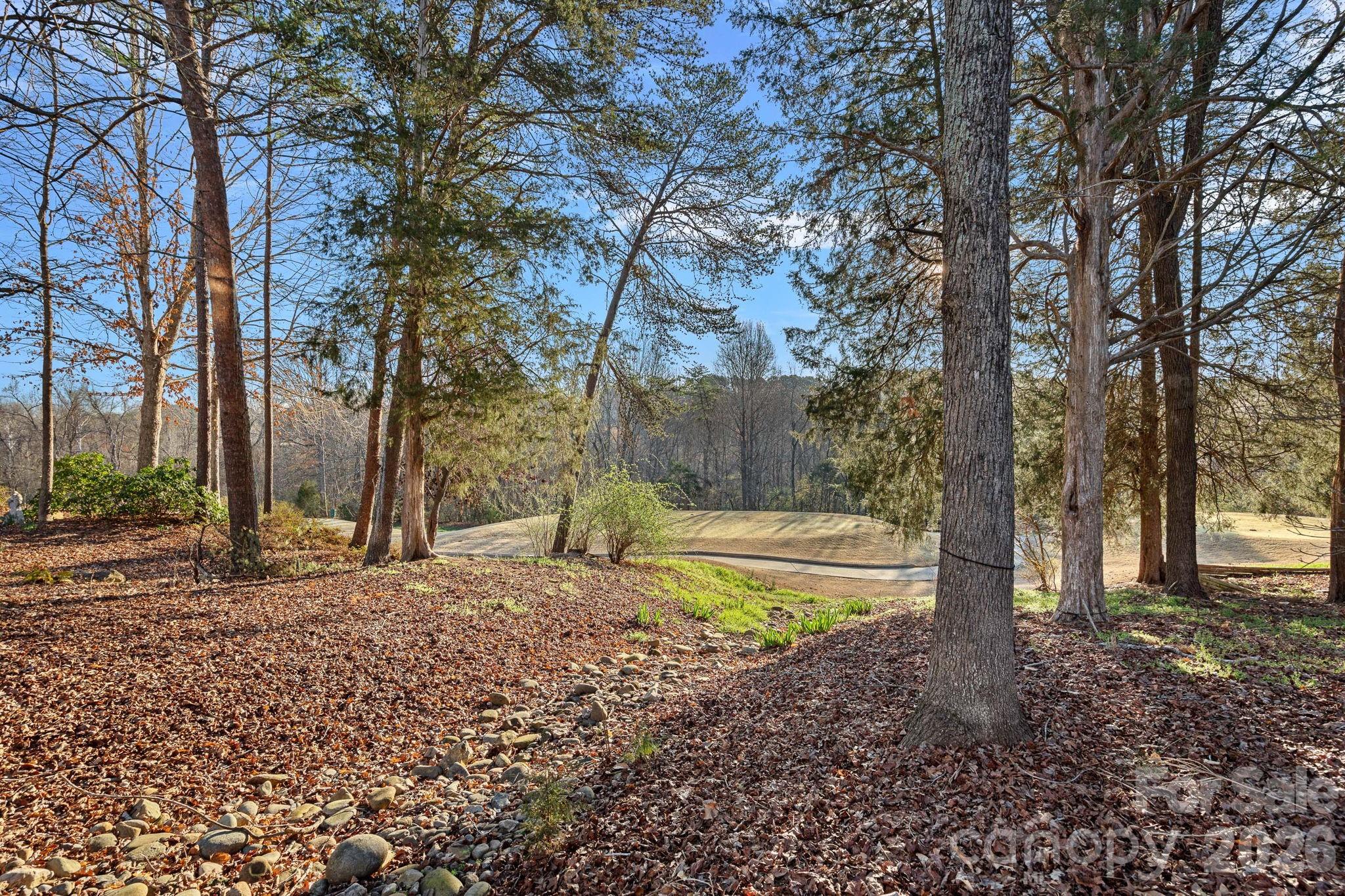 1470 Valhalla Drive Denver, NC 28037 - Photo 40 of 41 a view of a yard with large trees