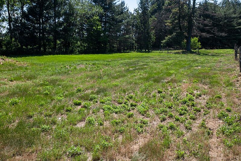 311 Highway 21 Friendship, WI 53934 - Photo 48 of 65