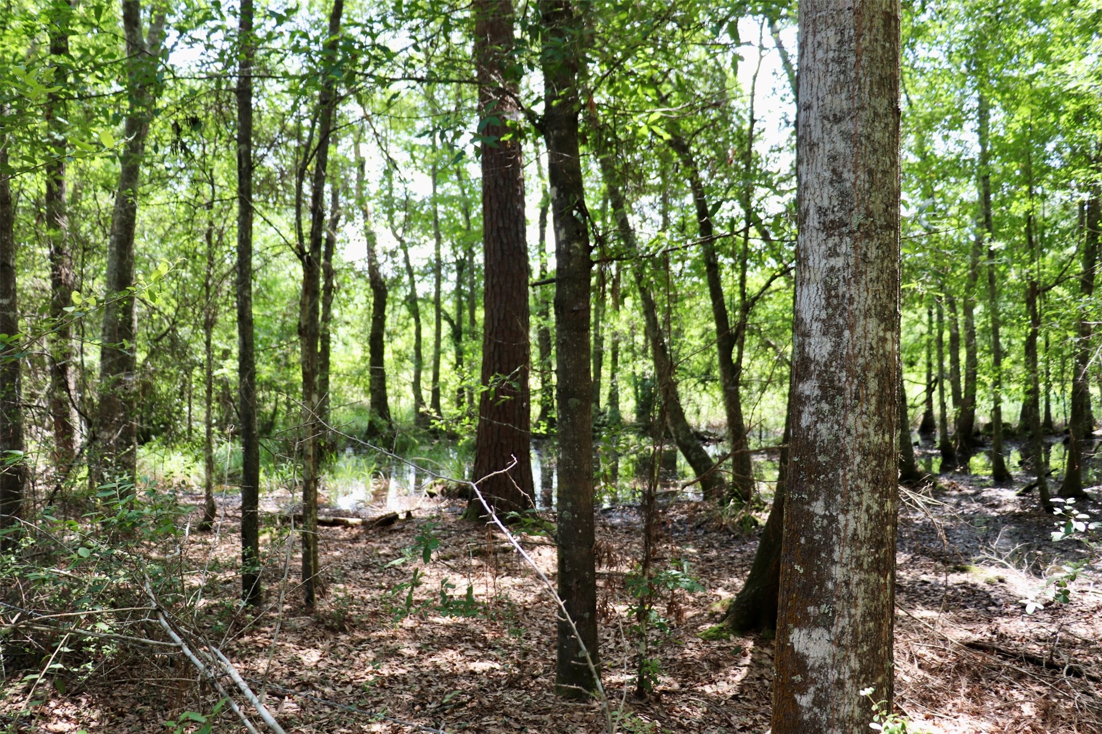 1250 Meekins Road Cleveland, TX 77328 - Photo 36 of 44