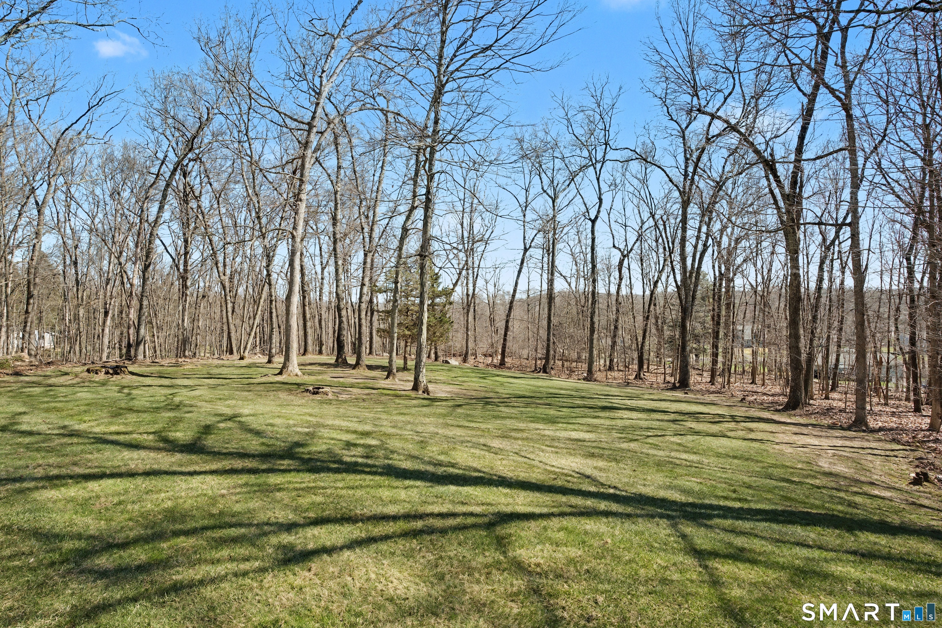 162 Britiani Road Southbury, CT 06488 - Photo 32 of 40