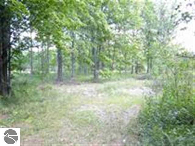 5272 Gonyer Road Southwest Fife Lake, MI 49633 - Photo 11 of 11 1698770-10.JPG