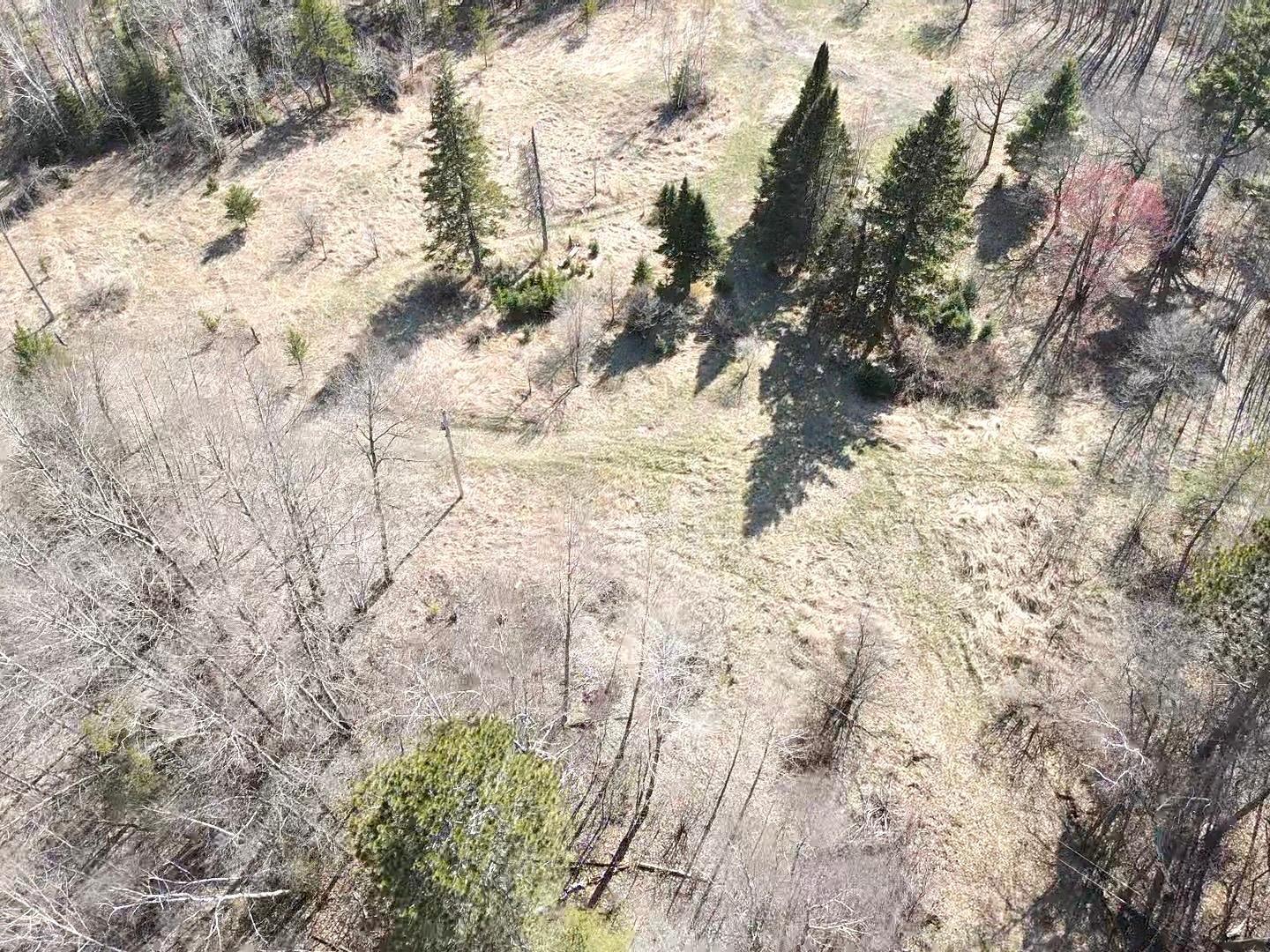 Parcel B Parcel B 24th Ave Pine River Southwest Backus, MN 56435 - Photo 14 of 24