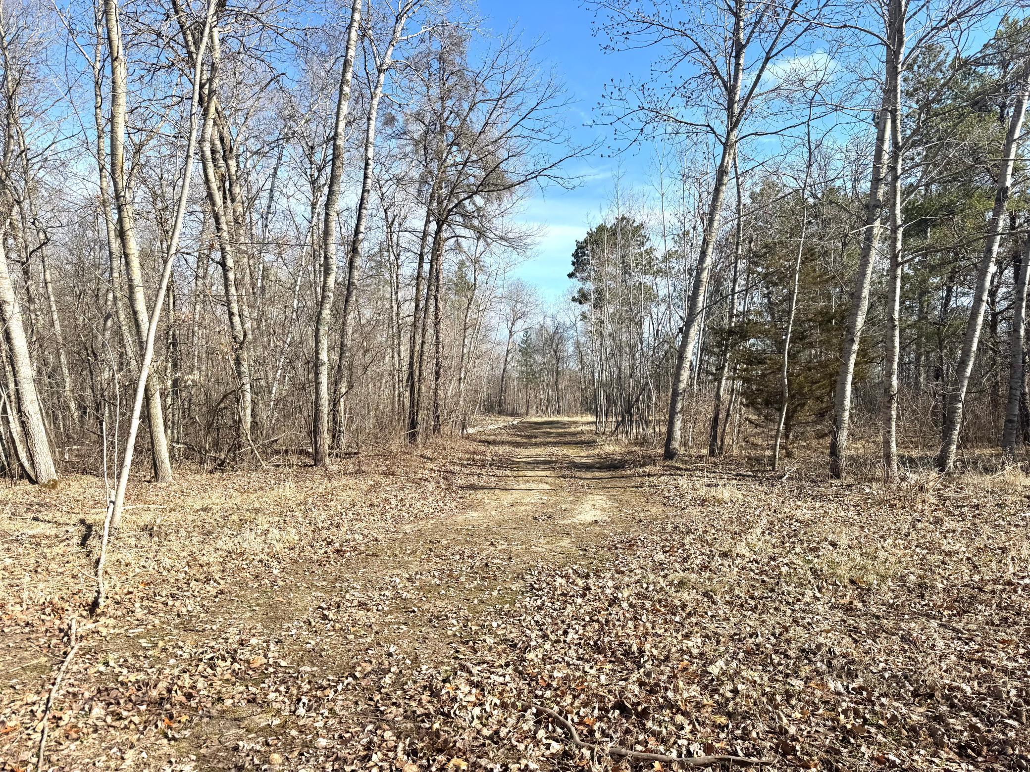 Parcel B Parcel B 24th Ave Pine River Southwest Backus, MN 56435 - Photo 15 of 24