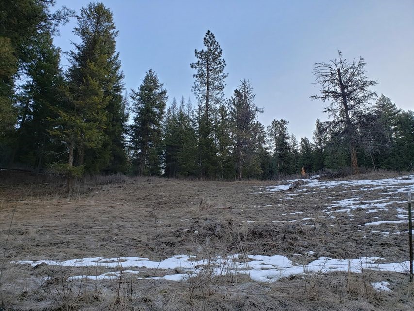 27-xx Aladdin Road Colville, WA 99114 - Photo 2 of 13