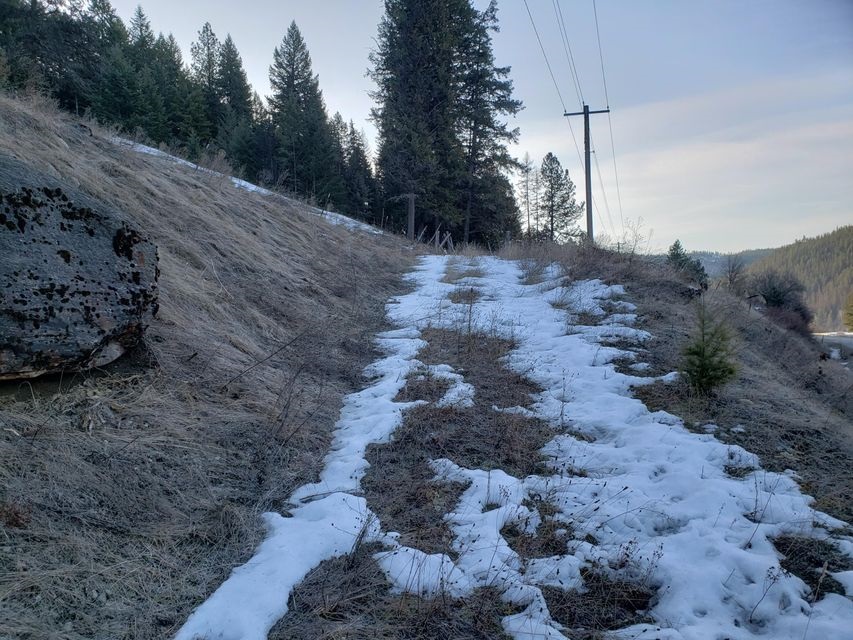 27-xx Aladdin Road Colville, WA 99114 - Photo 4 of 13