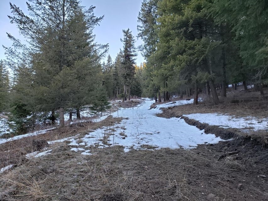 27-xx Aladdin Road Colville, WA 99114 - Photo 10 of 13