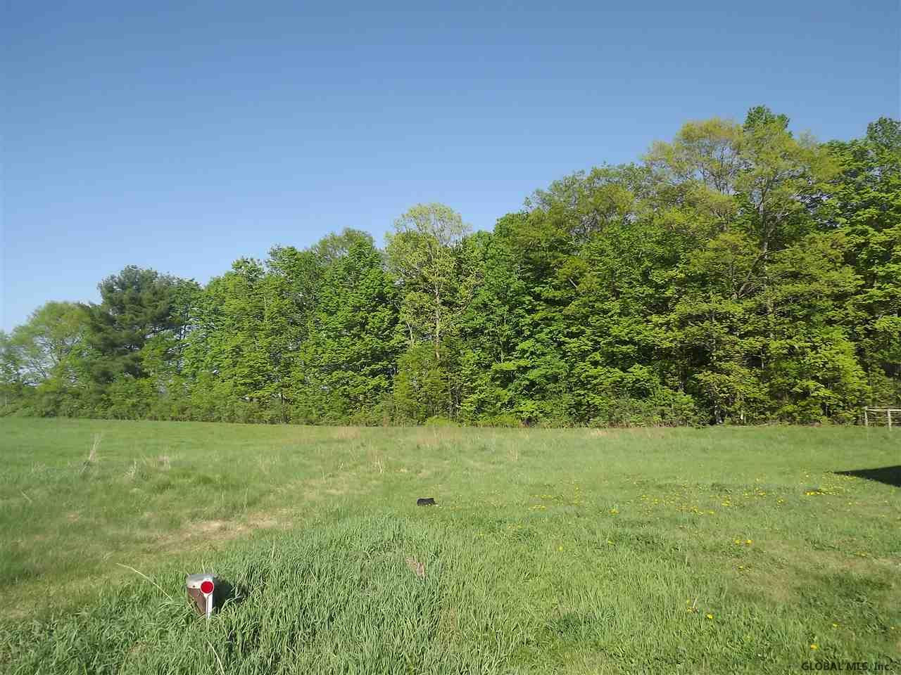 262 Austin Road Gansevoort, NY 12831 - Photo 3 of 21 Photo 3