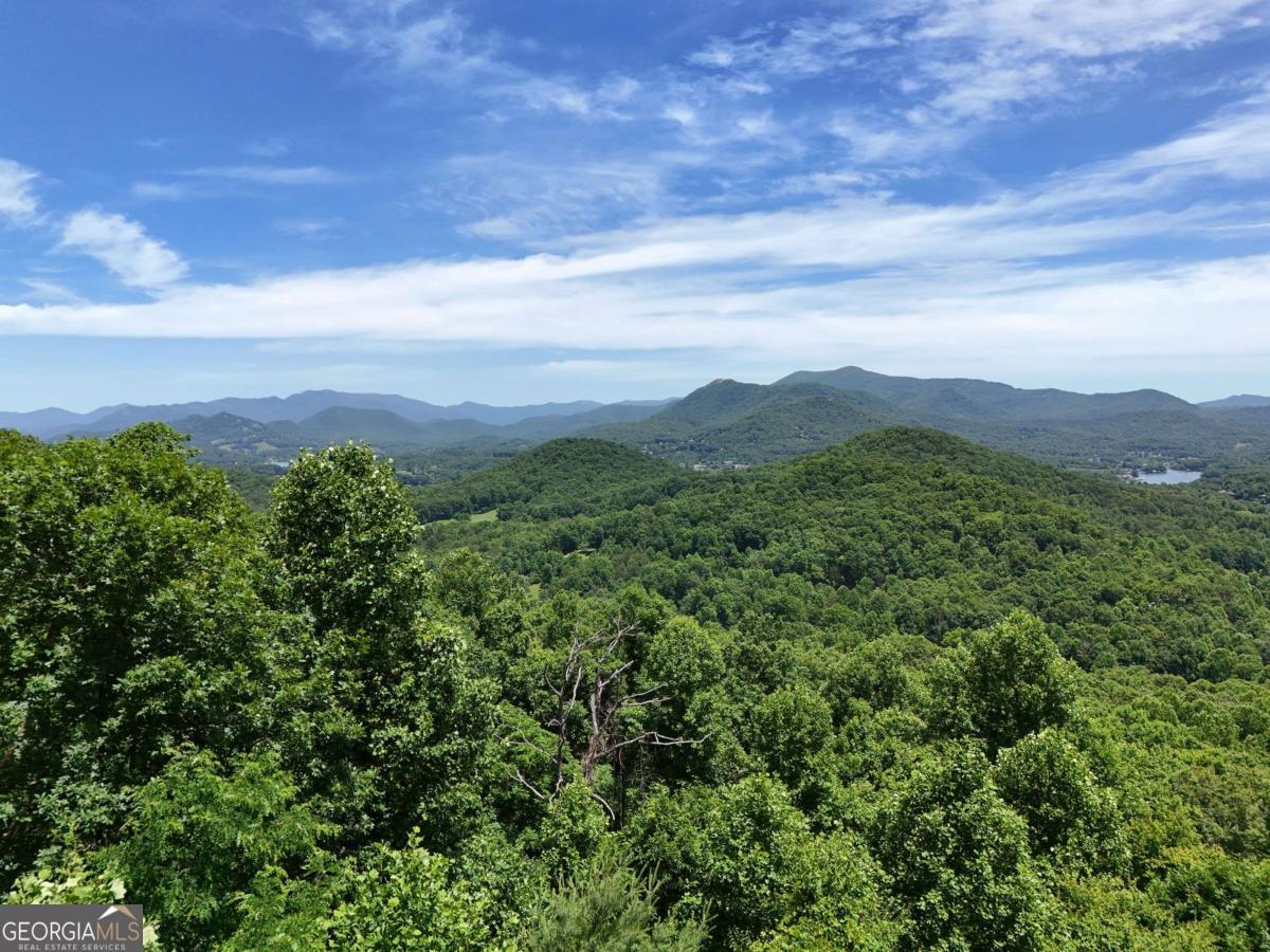 Lot 10 Hidden Summit Road, Unit 10 Hiawassee, GA 30546 - Photo 11 of 23 a view of a lush green forest with mountains in the background