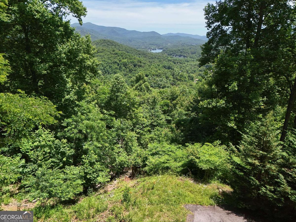 Lot 10 Hidden Summit Road, Unit 10 Hiawassee, GA 30546 - Photo 17 of 23 a view of a lush green forest with a house