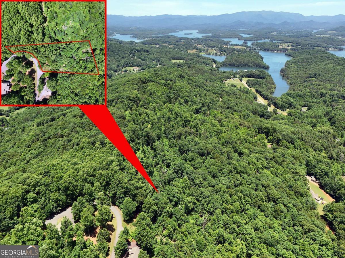 Lot 10 Hidden Summit Road, Unit 10 Hiawassee, GA 30546 - Photo 18 of 23 a view of a lush green field with lots of plants