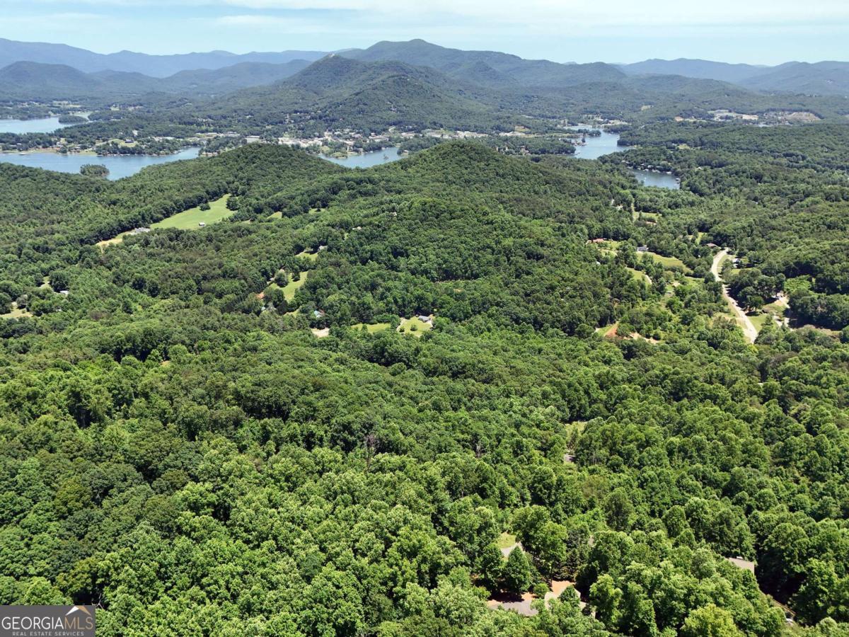 Lot 10 Hidden Summit Road, Unit 10 Hiawassee, GA 30546 - Photo 20 of 23 a view of a lush green forest with trees in the background