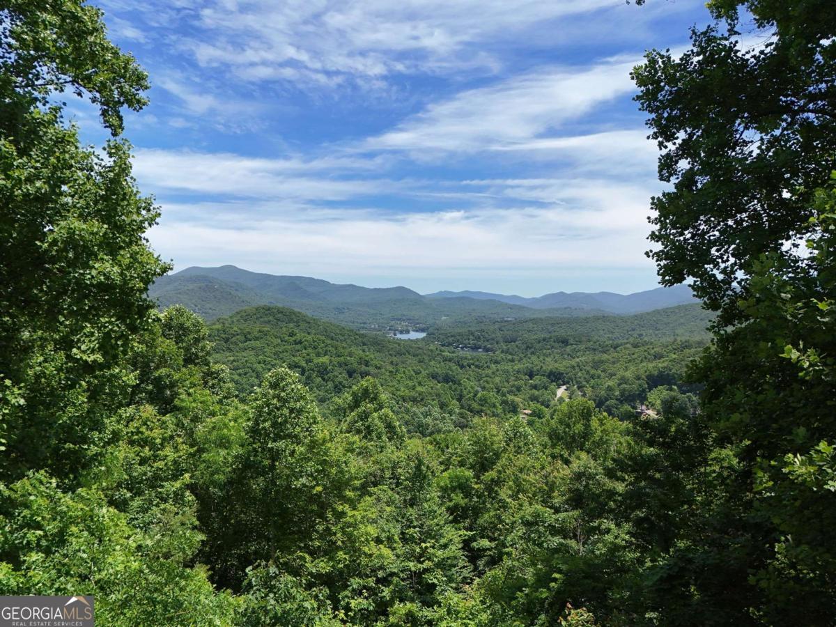 Lot 10 Hidden Summit Road, Unit 10 Hiawassee, GA 30546 - Photo 2 of 23 a view of a green field with lots of bushes