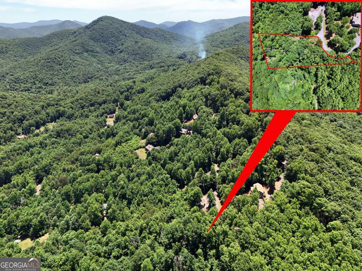 Lot 10 Hidden Summit Road, Unit 10 Hiawassee, GA 30546 - Photo 22 of 23 a view of a lush green forest with a houses
