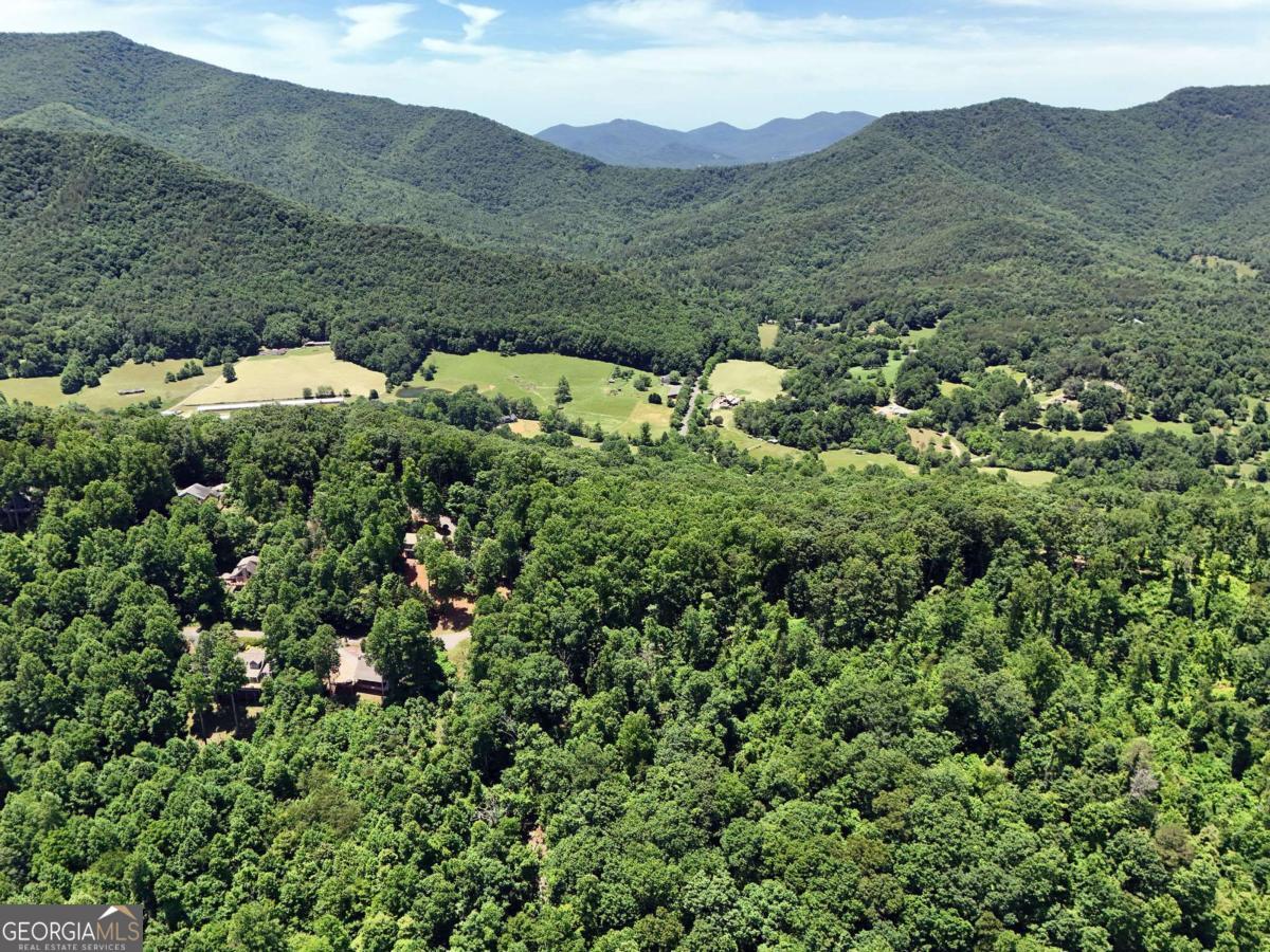 Lot 10 Hidden Summit Road, Unit 10 Hiawassee, GA 30546 - Photo 23 of 23 a view of a lush green hillside and houses