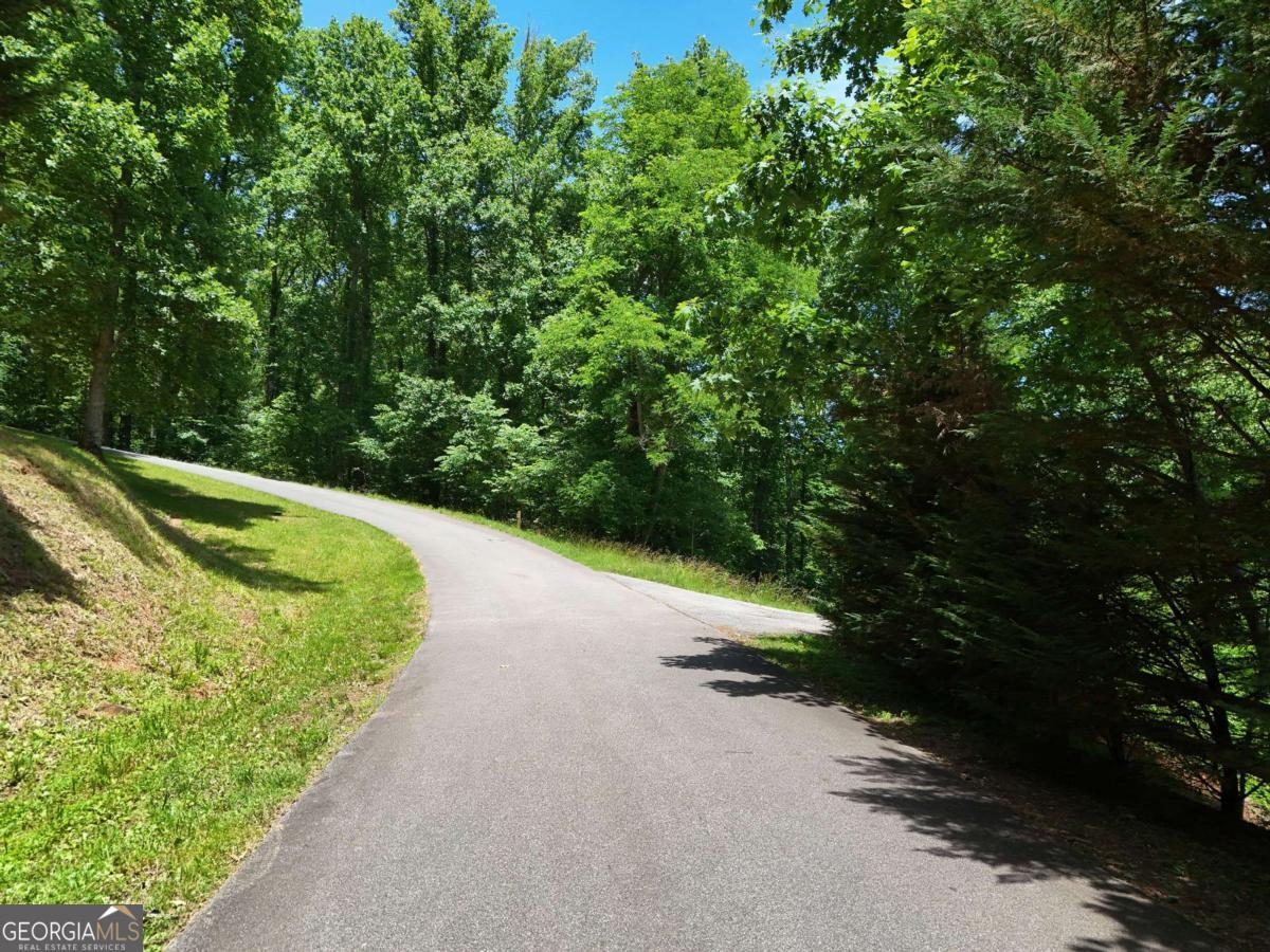 Lot 10 Hidden Summit Road, Unit 10 Hiawassee, GA 30546 - Photo 4 of 23 a view of a road with a yard