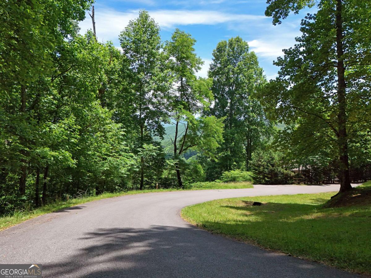 Lot 10 Hidden Summit Road, Unit 10 Hiawassee, GA 30546 - Photo 5 of 23 a view of a yard