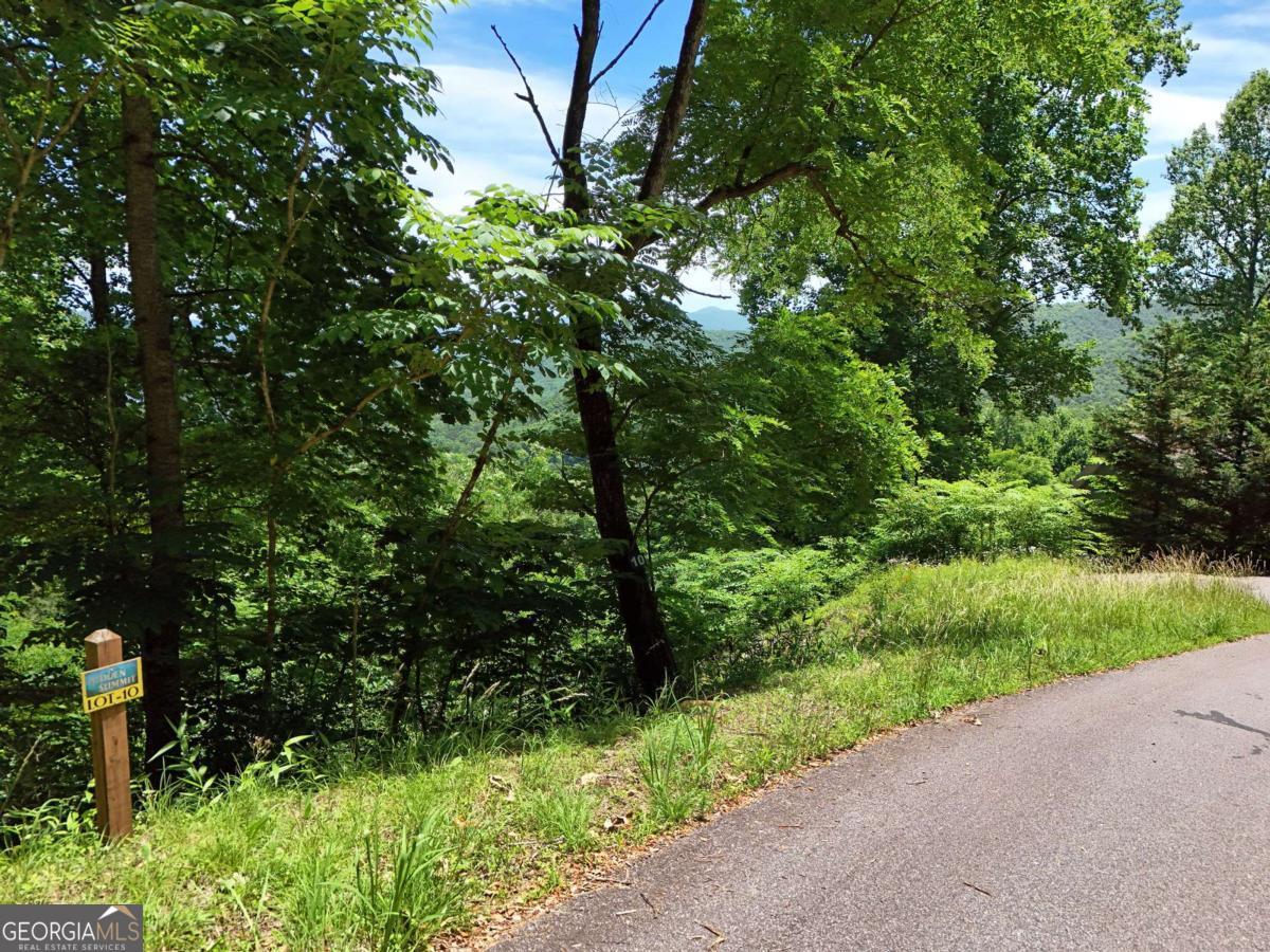 Lot 10 Hidden Summit Road, Unit 10 Hiawassee, GA 30546 - Photo 6 of 23 a view of a garden with plants