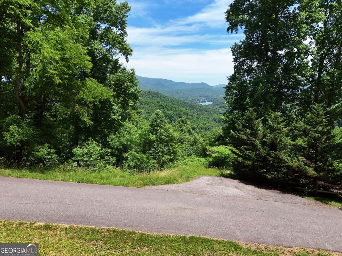 Lot 10 Hidden Summit Road, Unit 10 Hiawassee, GA 30546 - Photo 7 of 23 a view of a garden with a tree