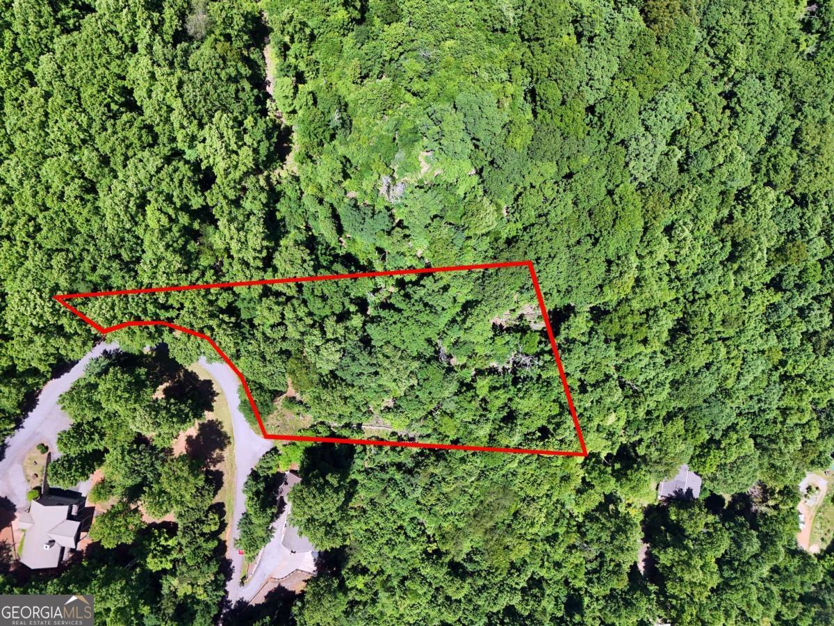 Lot 10 Hidden Summit Road, Unit 10 Hiawassee, GA 30546 - Photo 8 of 23 a picture of flowers