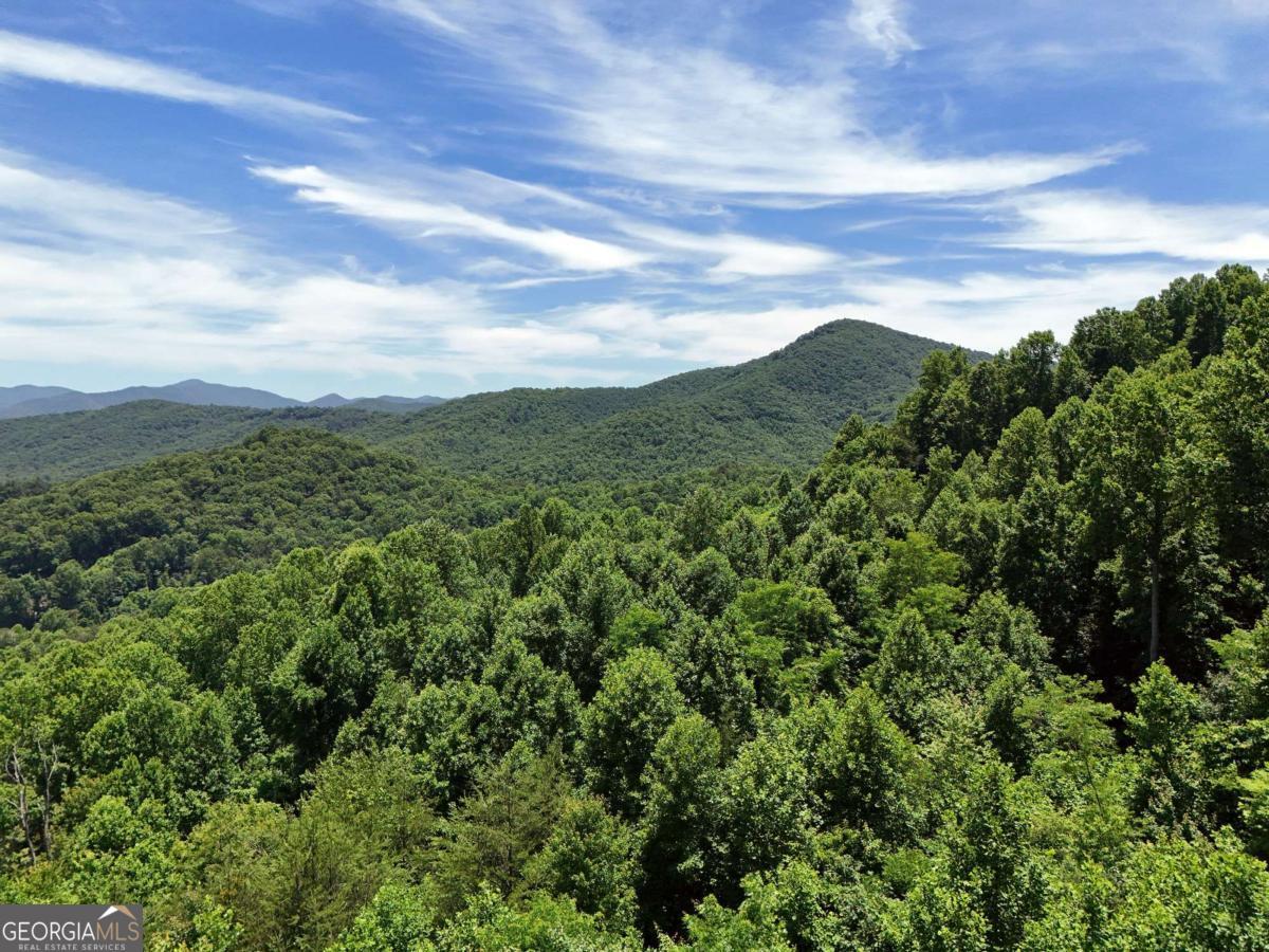 Lot 10 Hidden Summit Road, Unit 10 Hiawassee, GA 30546 - Photo 9 of 23 a view of a green field with lots of bushes