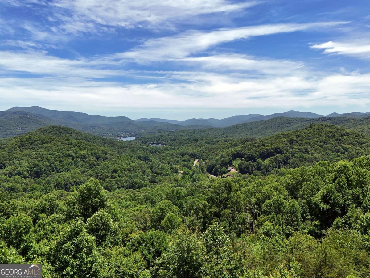 Lot 10 Hidden Summit Road, Unit 10 Hiawassee, GA 30546 - Photo 10 of 23 a view of a green field with lots of bushes
