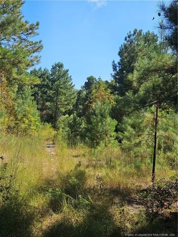 $1,499,000 | Lemuel Black Road, Bunnlevel, NC 28323