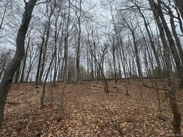 Lot 4 Shaver Hill Road Meridale, NY 13806 - Photo 34 of 45 Gallery Image 34