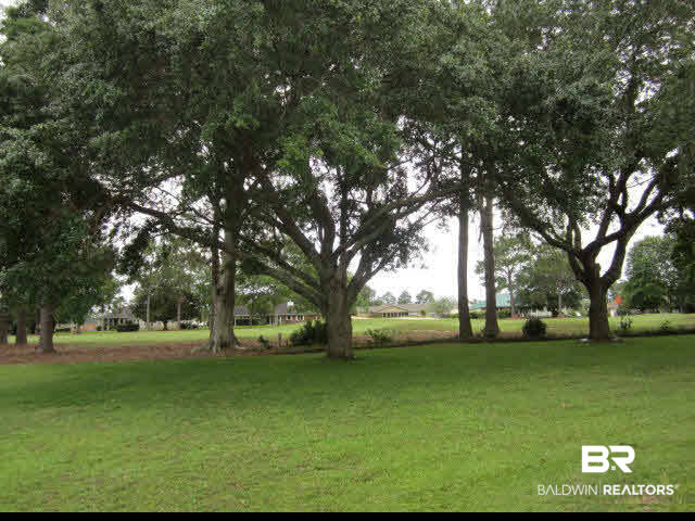 9255 Lakeview Drive Foley, AL 36535 - Photo 34 of 39 Rear Lawn