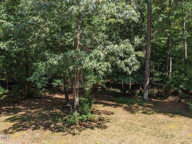 a view of a forest with trees in the background