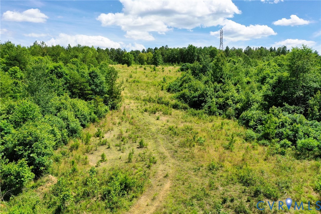 0 Mt Alto Road Esmont, VA 22937 - Photo 16 of 34