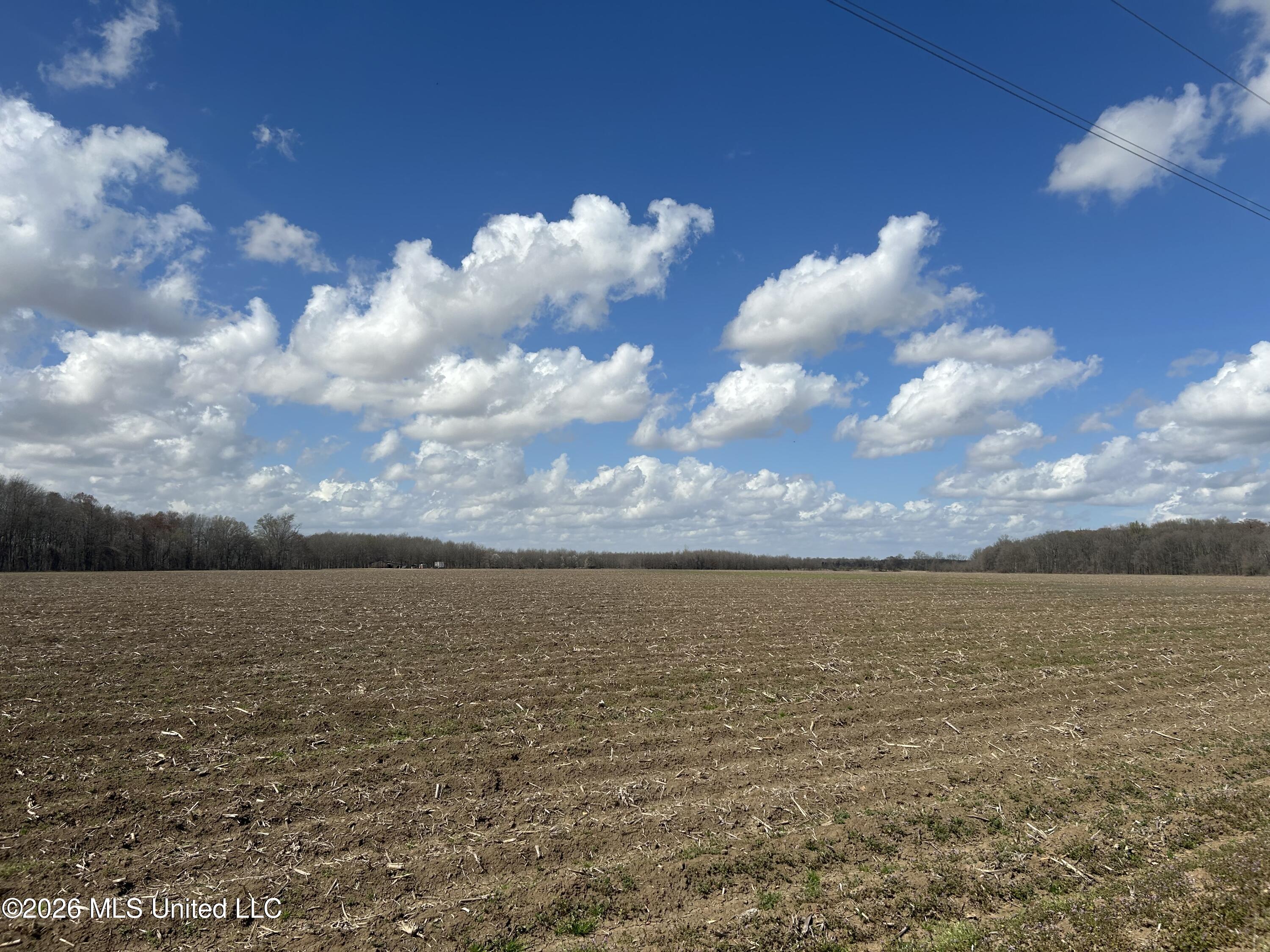 Airport Road Marks, MS 38646 - Photo 11 of 46 Photo Mar 06 2026, 12 07 17 PM