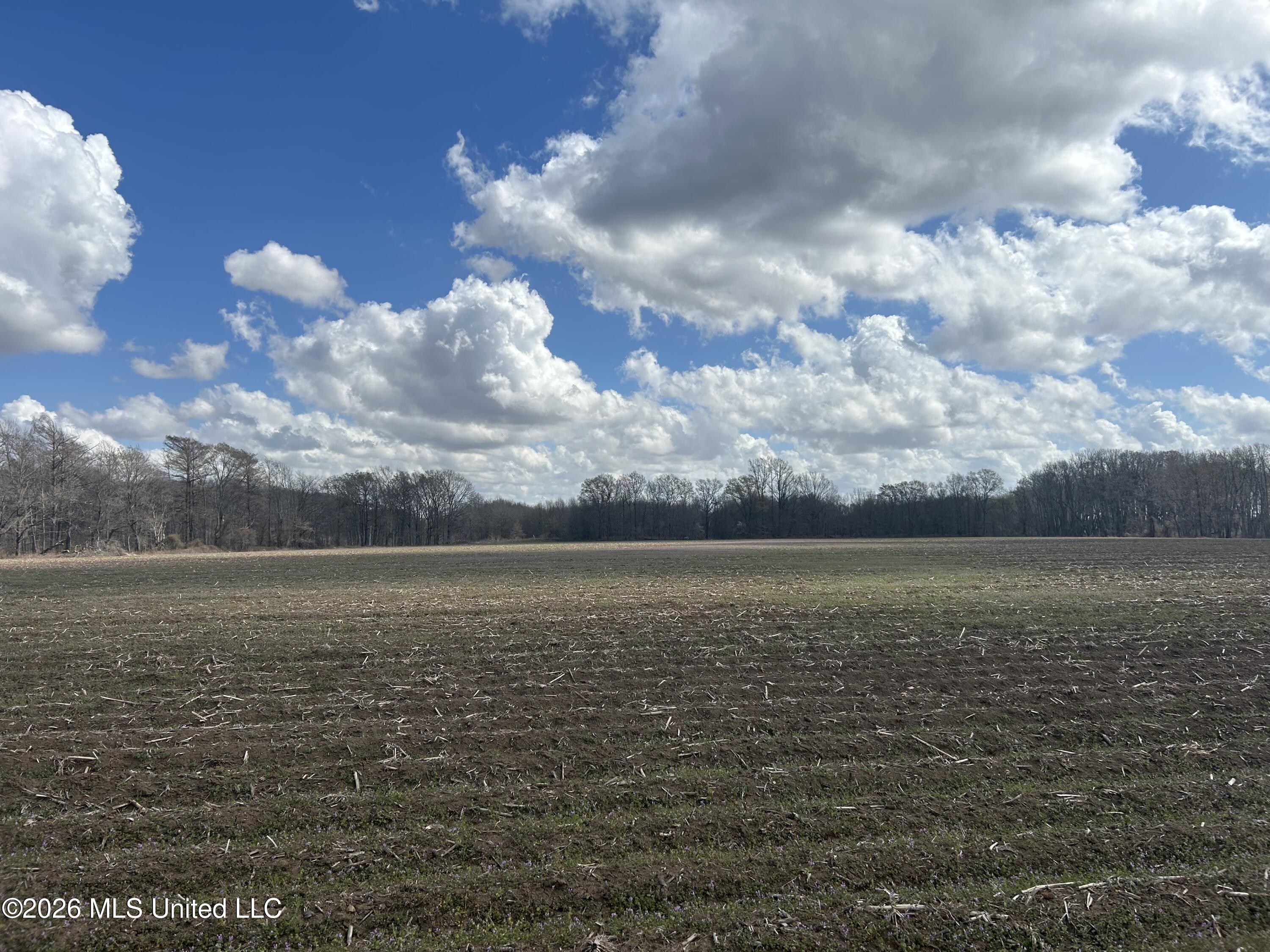 Airport Road Marks, MS 38646 - Photo 13 of 46 Photo Mar 06 2026, 12 08 26 PM