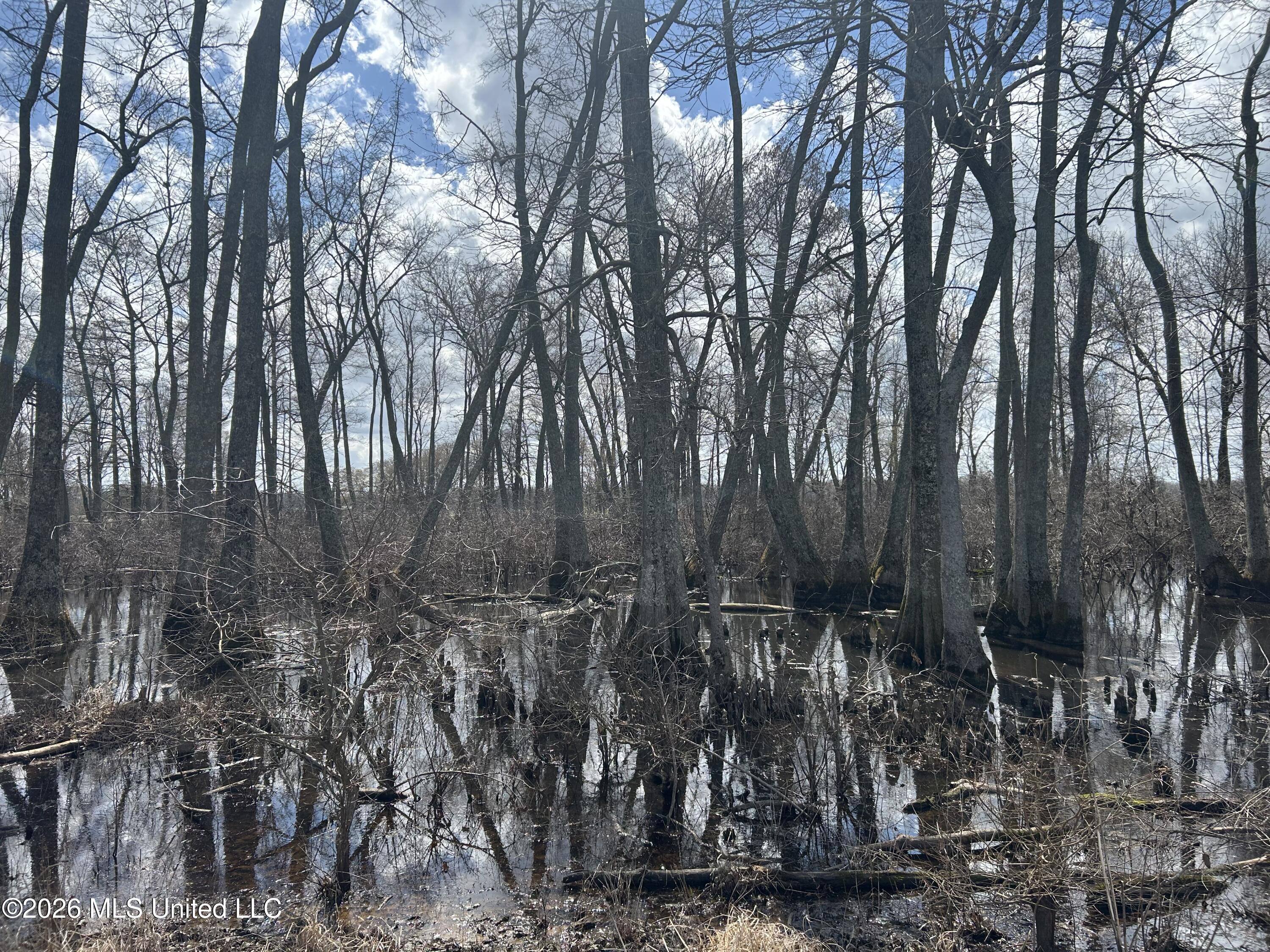 Airport Road Marks, MS 38646 - Photo 14 of 46 Photo Mar 06 2026, 12 10 08 PM