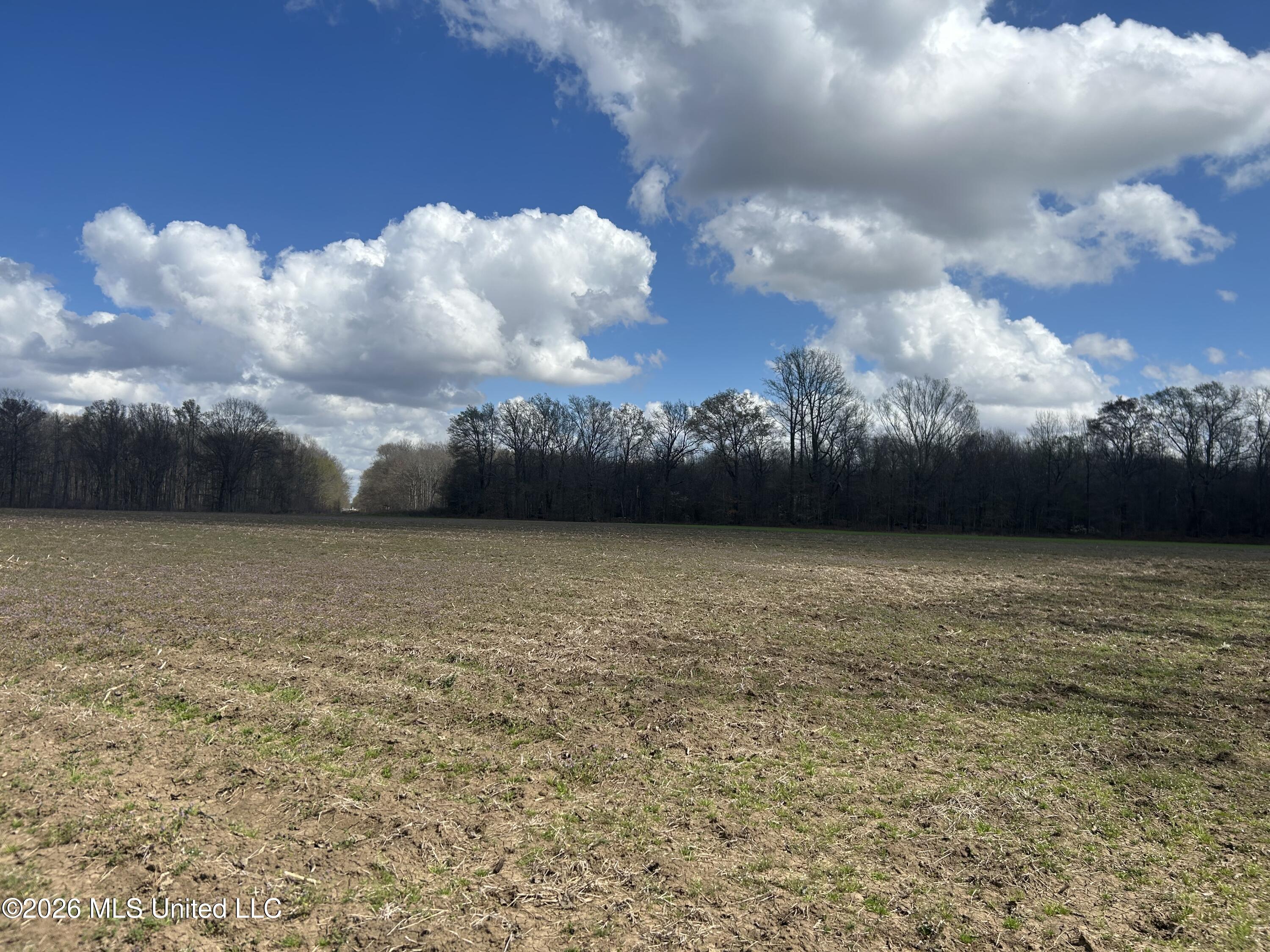 Airport Road Marks, MS 38646 - Photo 15 of 46 Photo Mar 06 2026, 12 11 42 PM