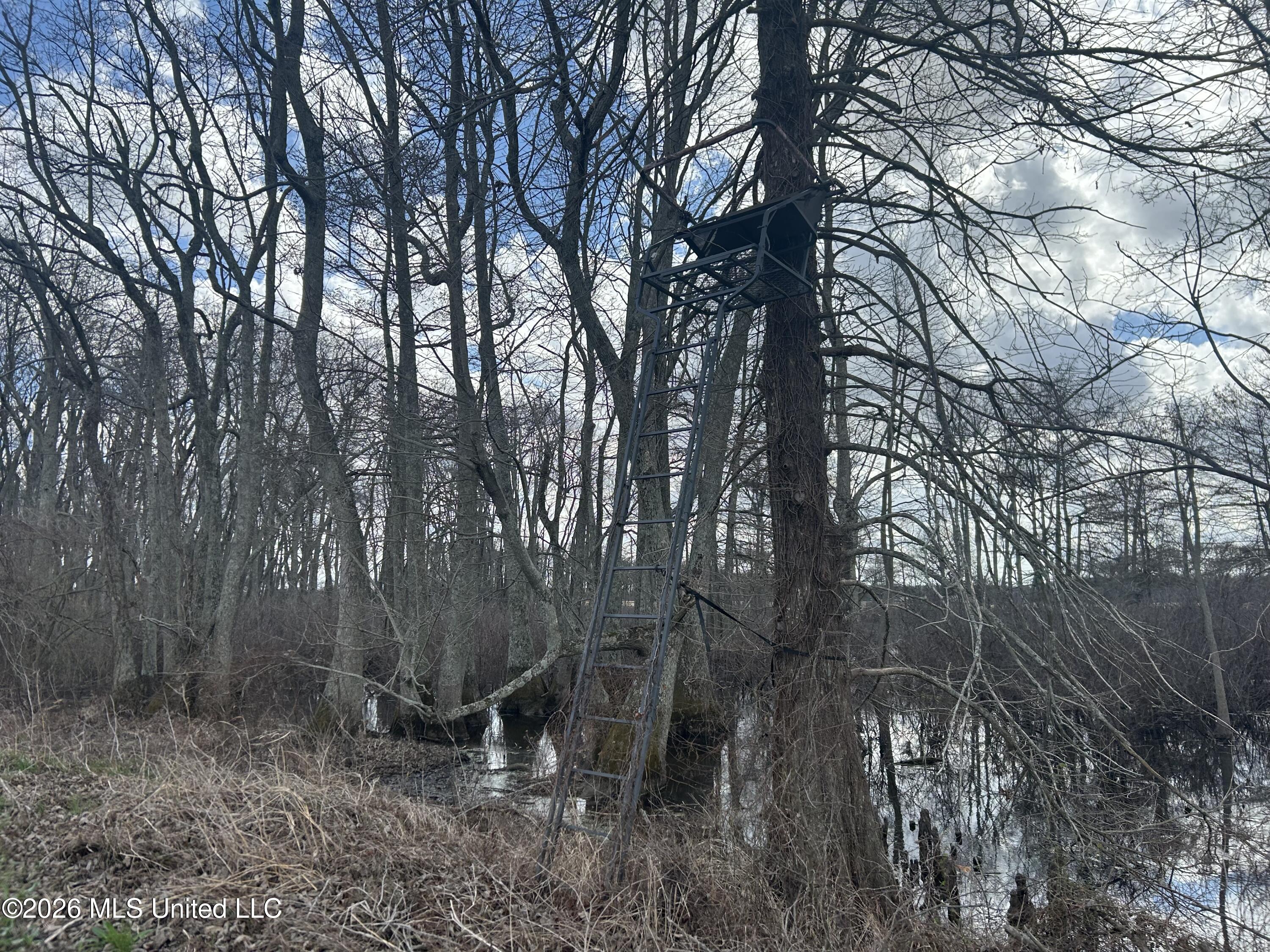 Airport Road Marks, MS 38646 - Photo 16 of 46 Photo Mar 06 2026, 12 12 05 PM