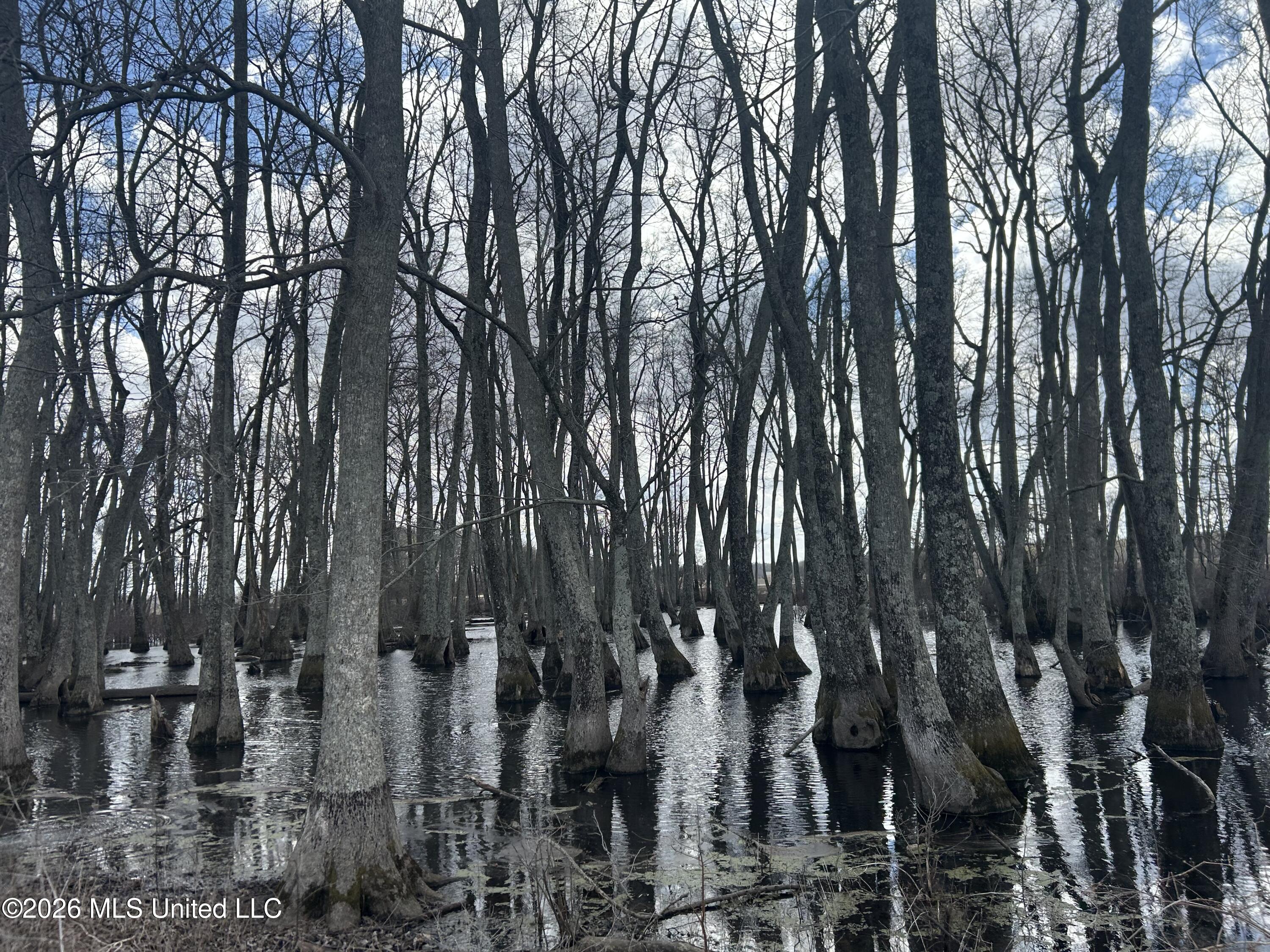Airport Road Marks, MS 38646 - Photo 17 of 46 Photo Mar 06 2026, 12 13 02 PM