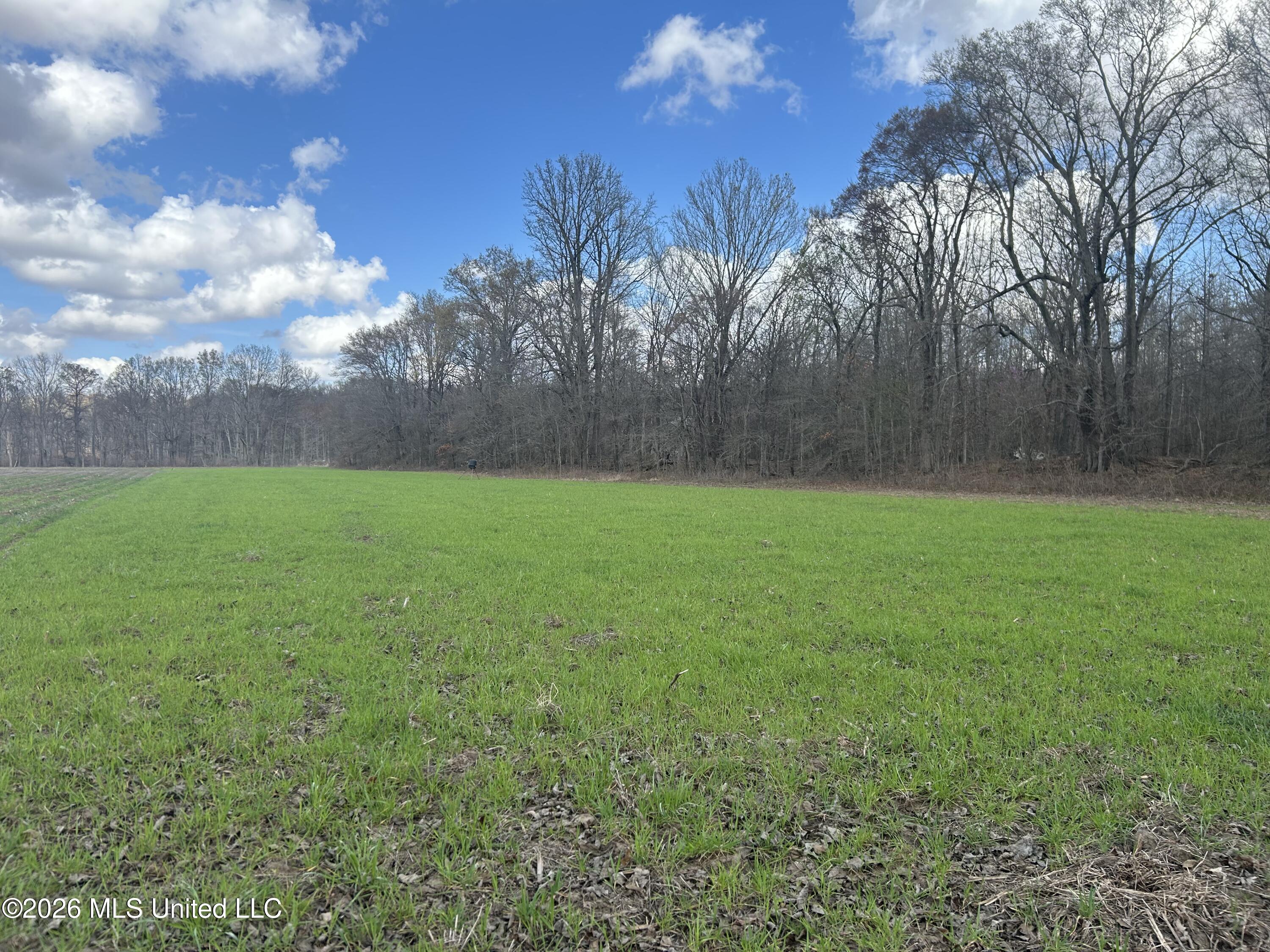 Airport Road Marks, MS 38646 - Photo 18 of 46 Photo Mar 06 2026, 12 13 14 PM