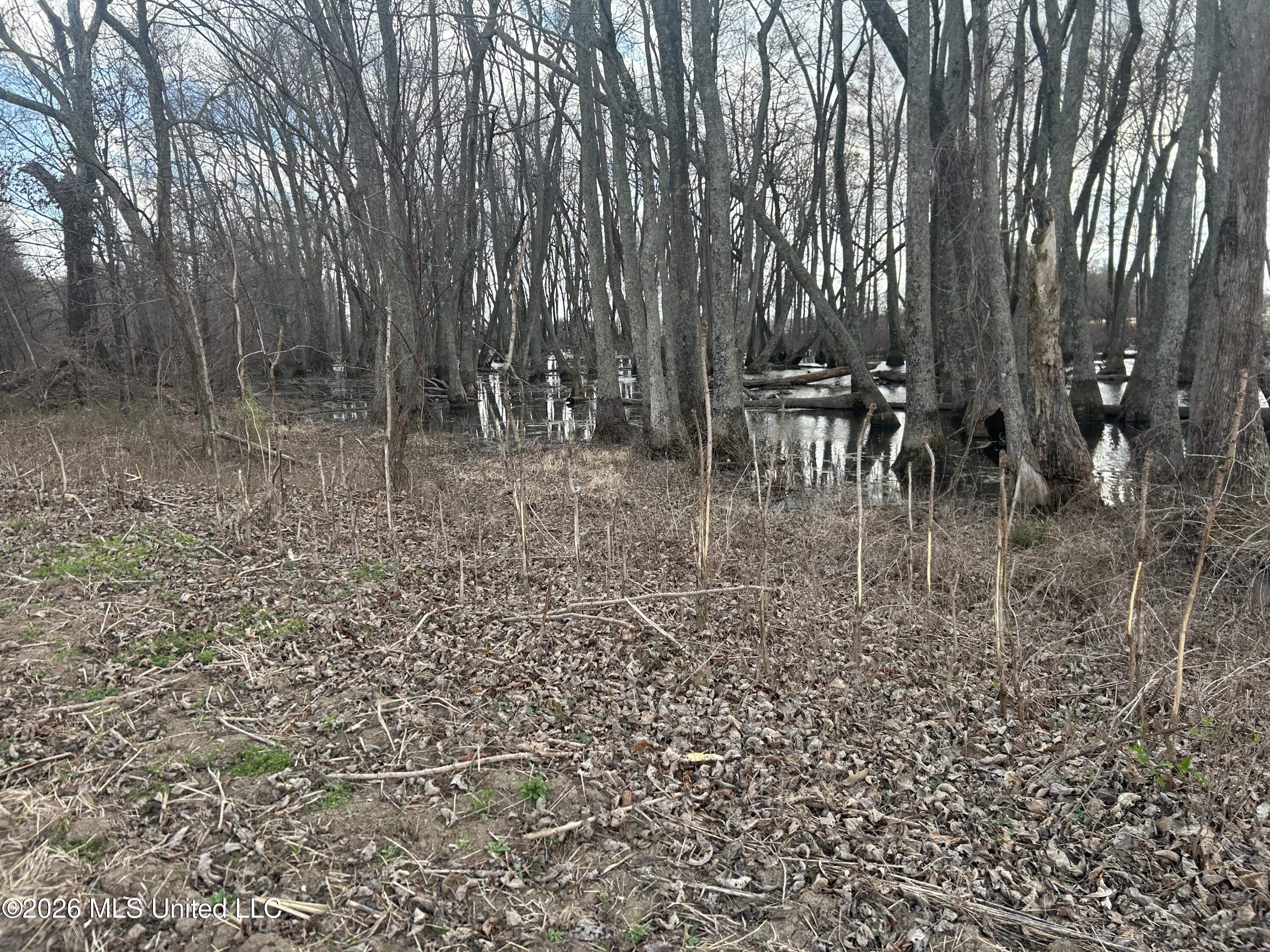 Airport Road Marks, MS 38646 - Photo 19 of 46 Photo Mar 06 2026, 12 13 25 PM